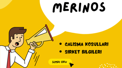 Merinos İş Başvurusu