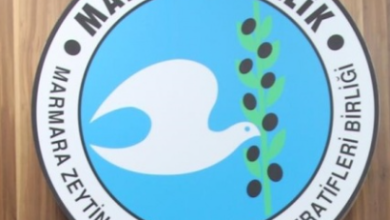 Marmarabirlik İş İlanları