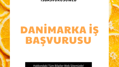 Danimarka İş Başvurusu