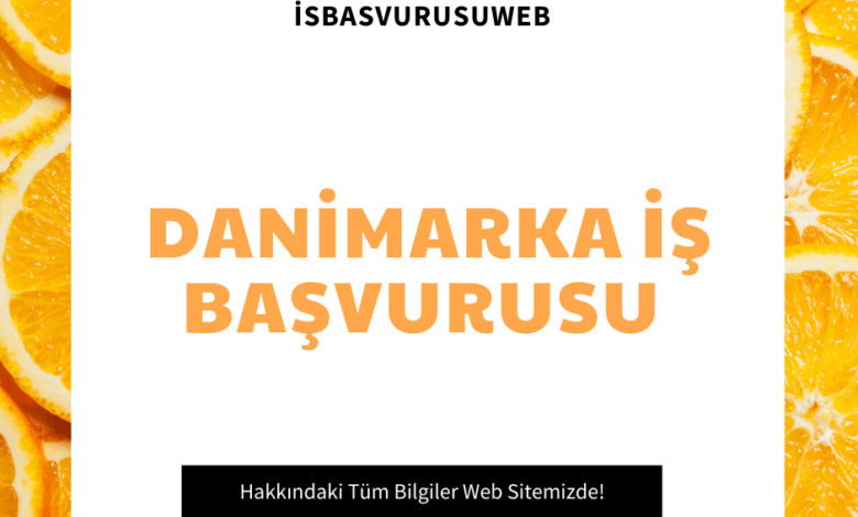 Danimarka İş Başvurusu