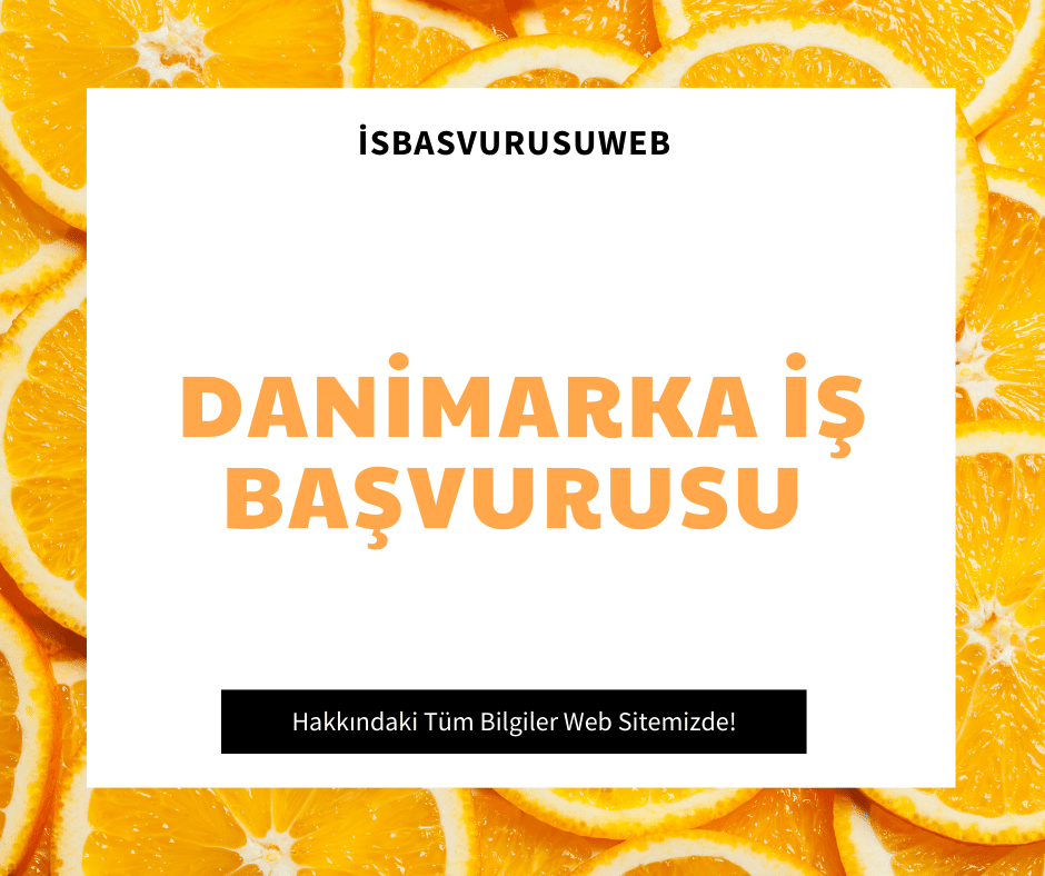 Danimarka İş Başvurusu