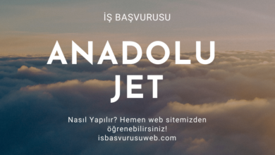 Anadolu Jet İş Başvurusu