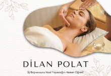 Dilan Polat İş Başvurusu