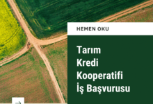 Tarım Kredi İş Başvurusu