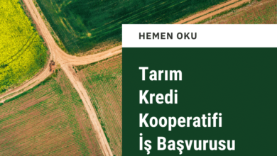 Tarım Kredi İş Başvurusu